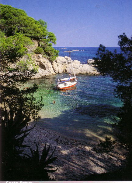 Павел Арсенев