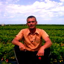 Роман Башлыков