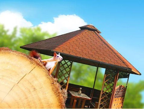 Александр Родной Дом