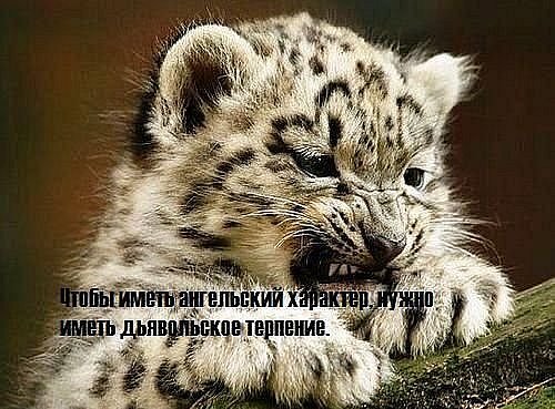 Лилия Гуменюк