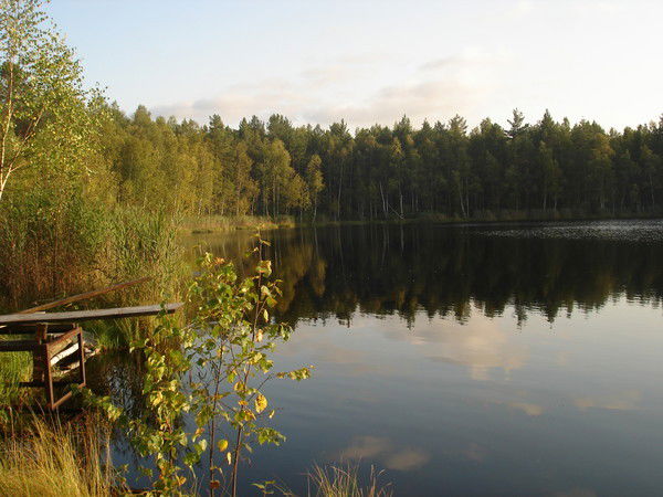 Татьяна Щербенко