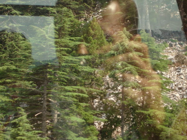 Алексей Овчинников