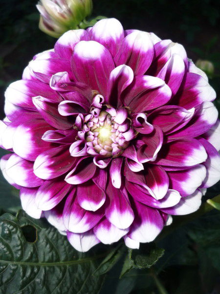 Леншин Сергей