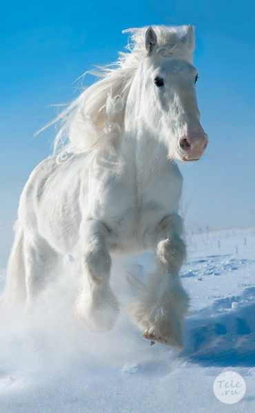 Александр Рахматуллин