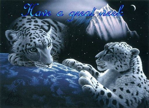 Ирина Соколова