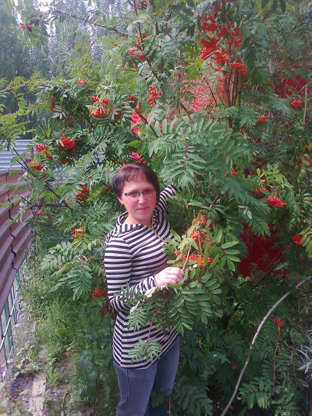 Надежда Лазатникова