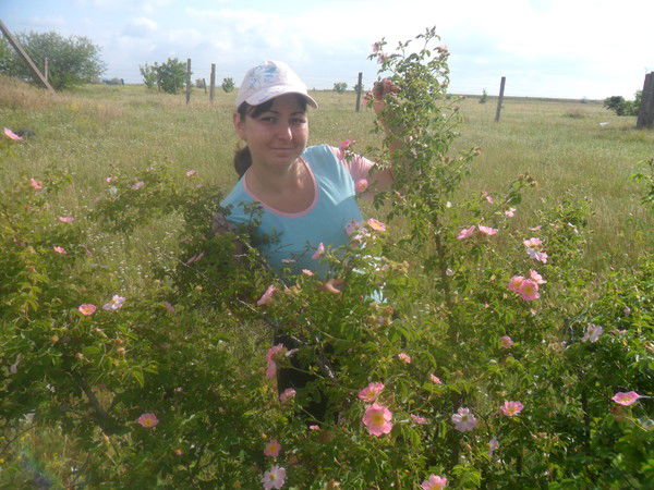 Кристина Барковская