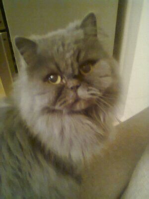 Михаил Никитин