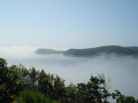 Наталья Севрюк