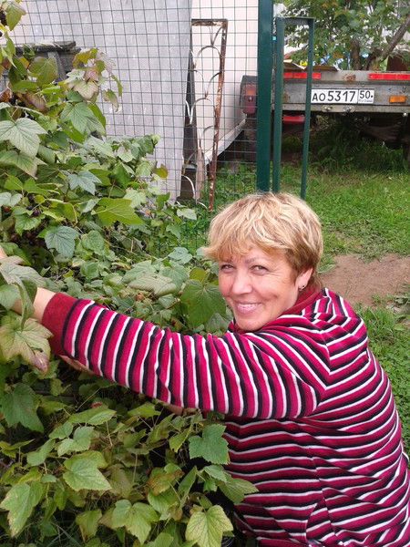 Елена Еременко