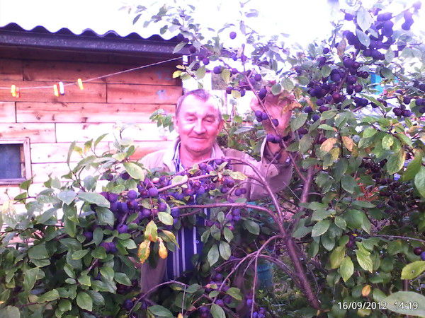 Валера Борисенко