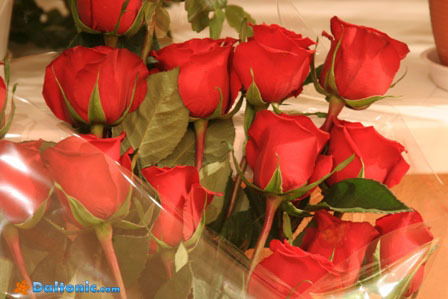 Галина Ясюченя