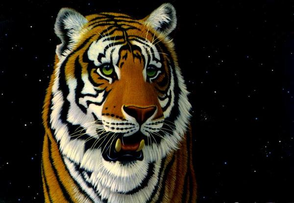 Константин Бельтиков