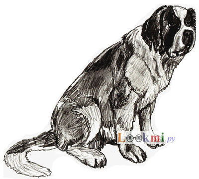 Иван Котельников