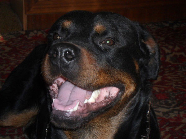 Мостовая Нина