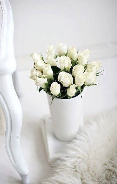 Елена Сурова