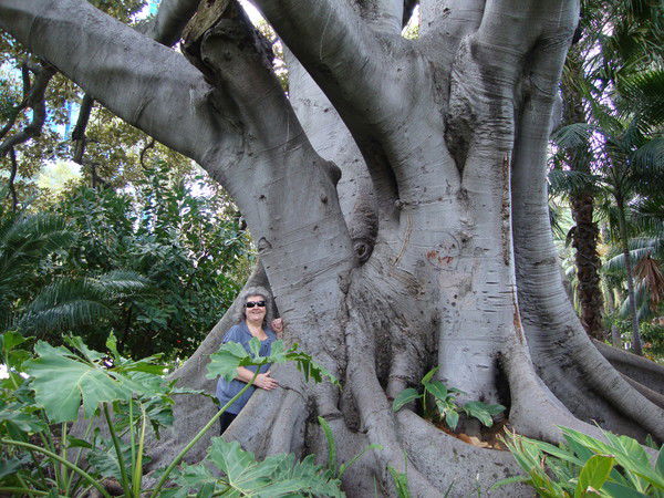 Надежда Кайдалова