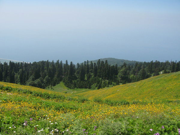 Сашина Ольга