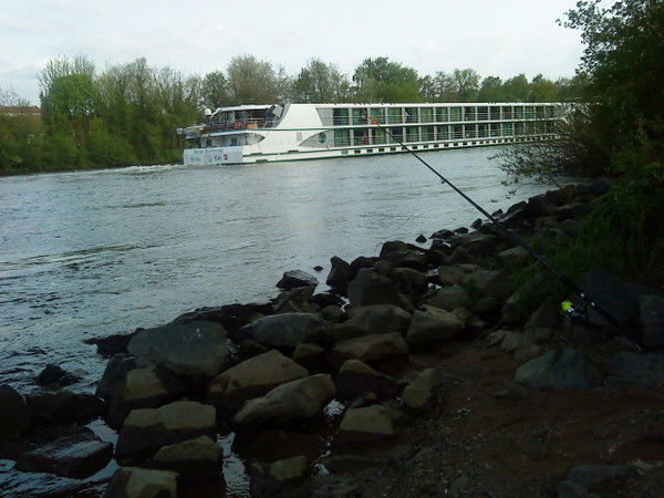 Наталья Ганзен