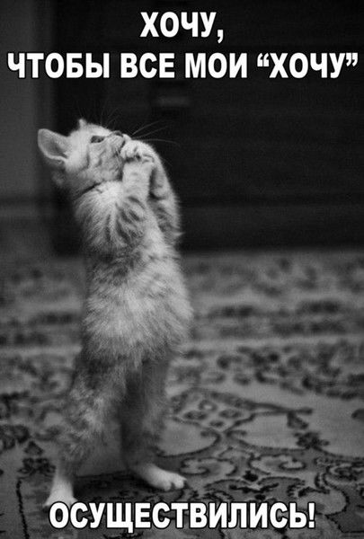 Воровка Воровайкина