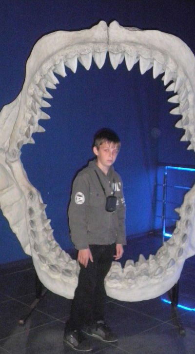 Александр Майденко