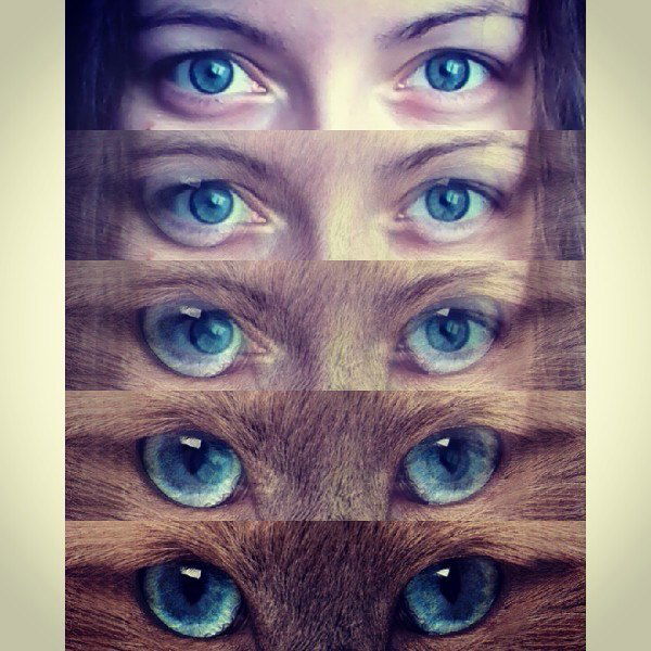 Анюта Дорохова