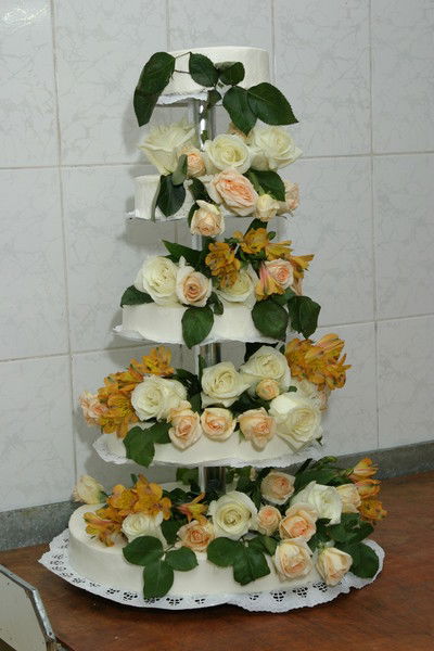 Елена Шмакова