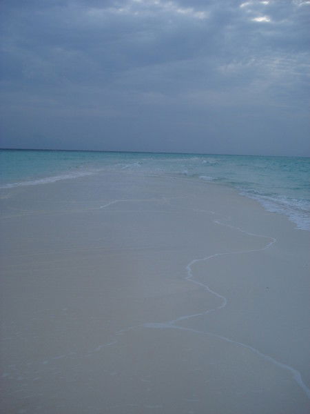 Данилова Наталья