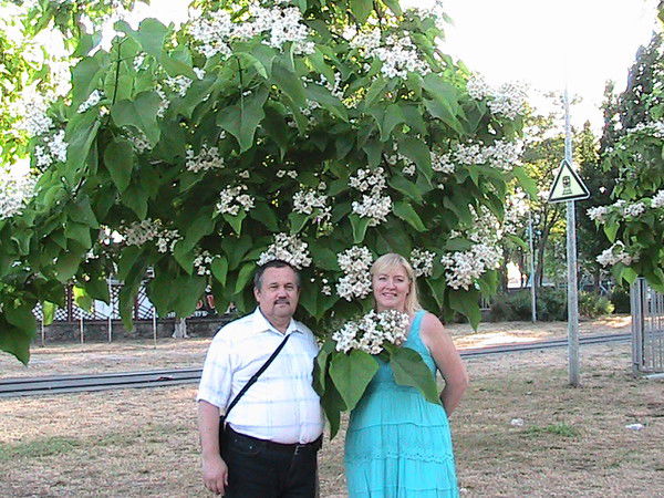 Валентина Степанова