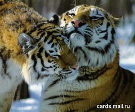 Игорь Бакулин