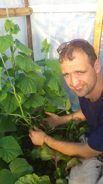 Сергей Илимович