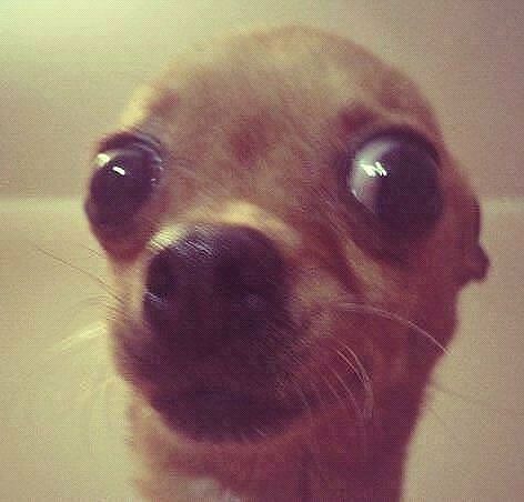 Дмитрий Шундиков