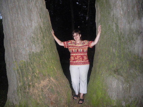 Александра Емельянова