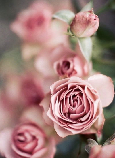 Альбина Фахреева