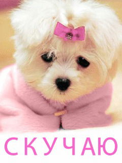 Виктория Тихонова