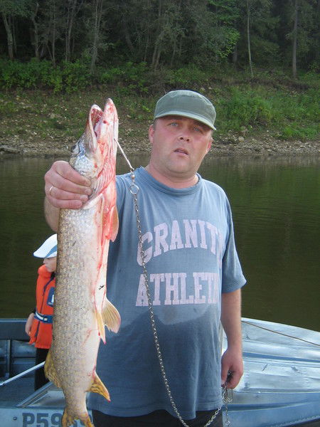 Сергей Шевелев