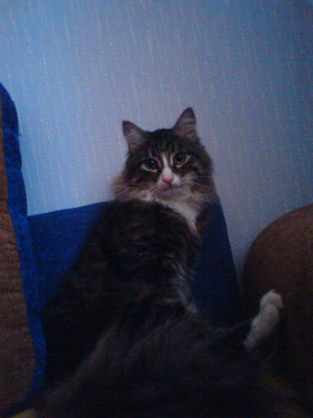 Васка Игоревна