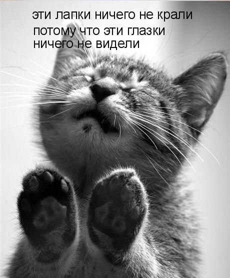 Татьяна Курта