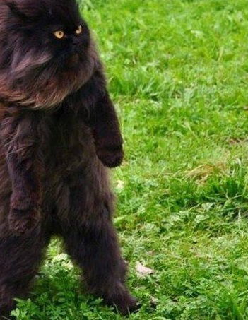 Артур Рыбин