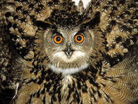 Наталья Рядинских