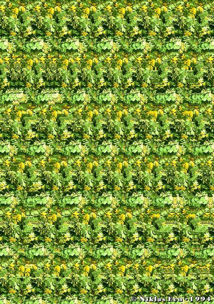 Светлана Малькевич