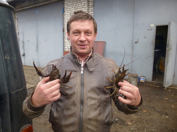 Степан Новицкий