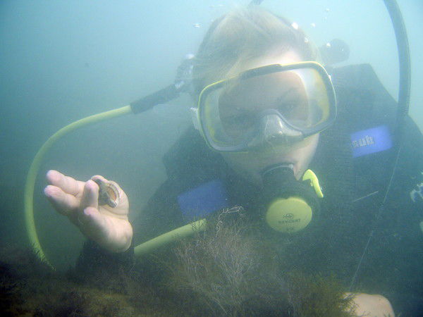 Елена Осипова