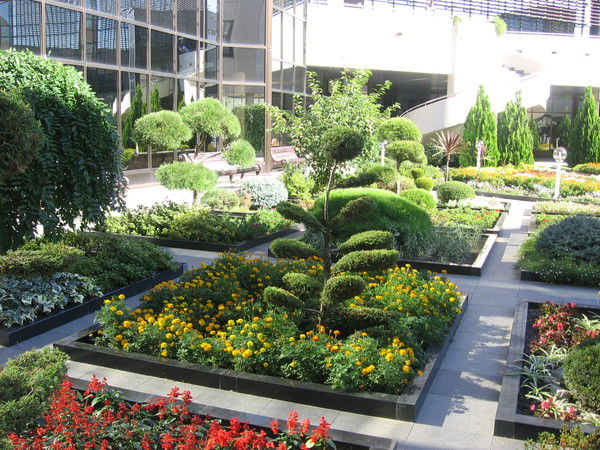 Нина Волкова