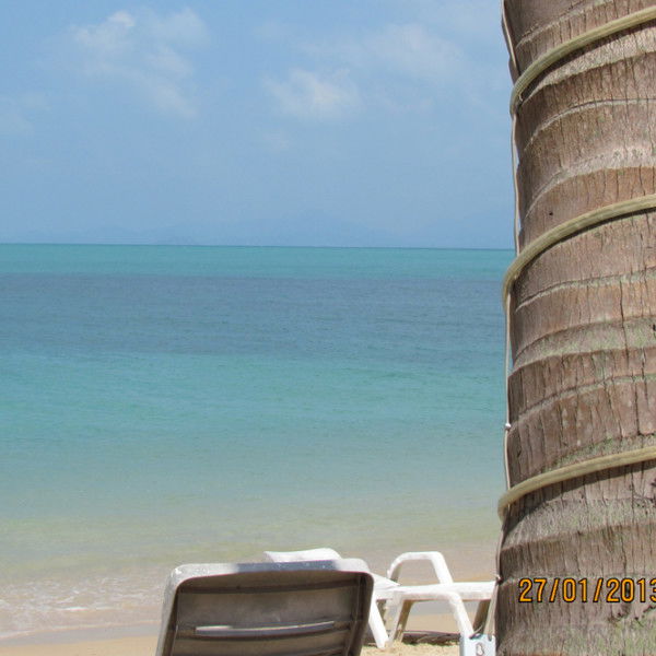 Вячеслав Кокалин