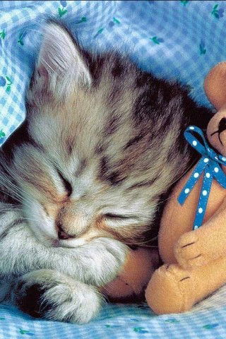 Настя Филимонова