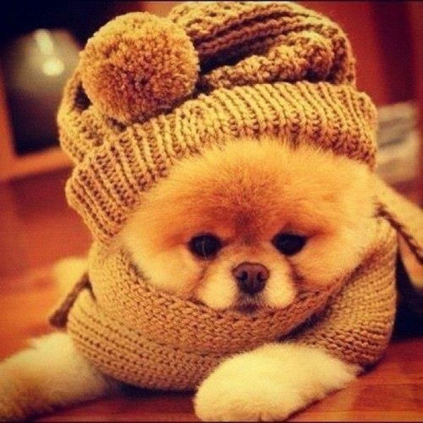 Светлана Светлана