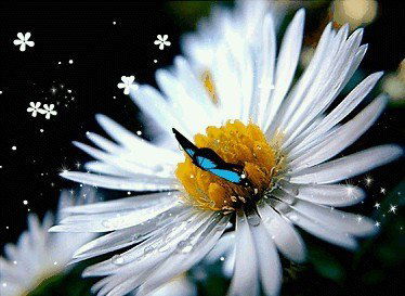 Гульнур Утебаева