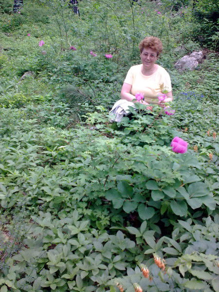 Наталья Котоманова