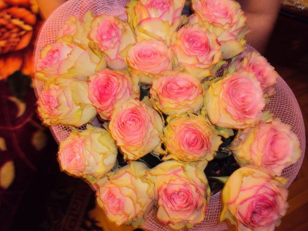 Наталья Андиева